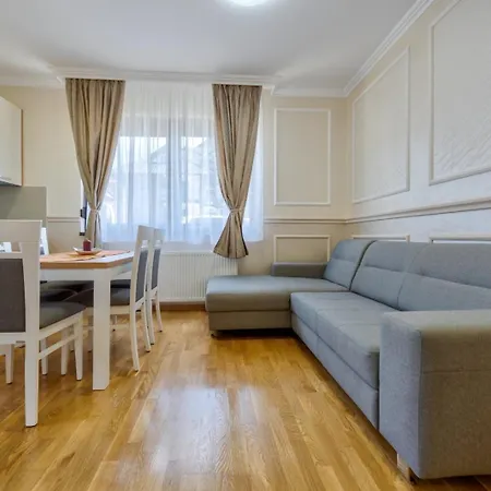 Apartment Mitrovic *
