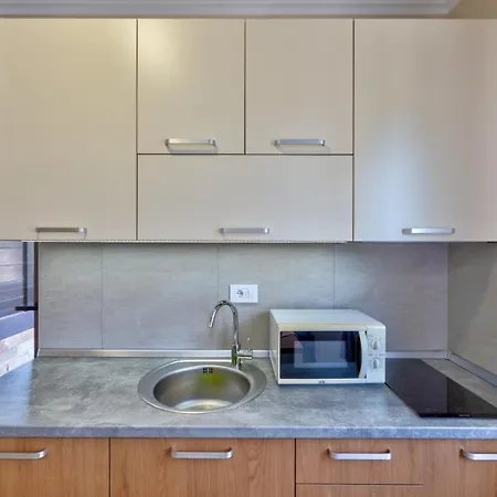 Mitrovic Apartment