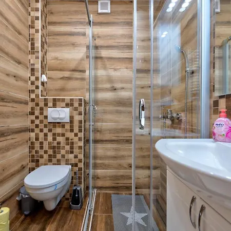 Mitrovic Apartment Zlatibor
